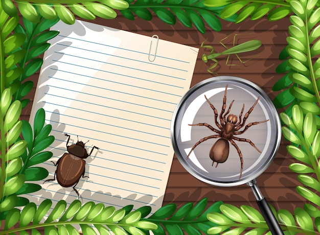 Kleszcz: Jak Wygląda i Jak go Rozpoznać?